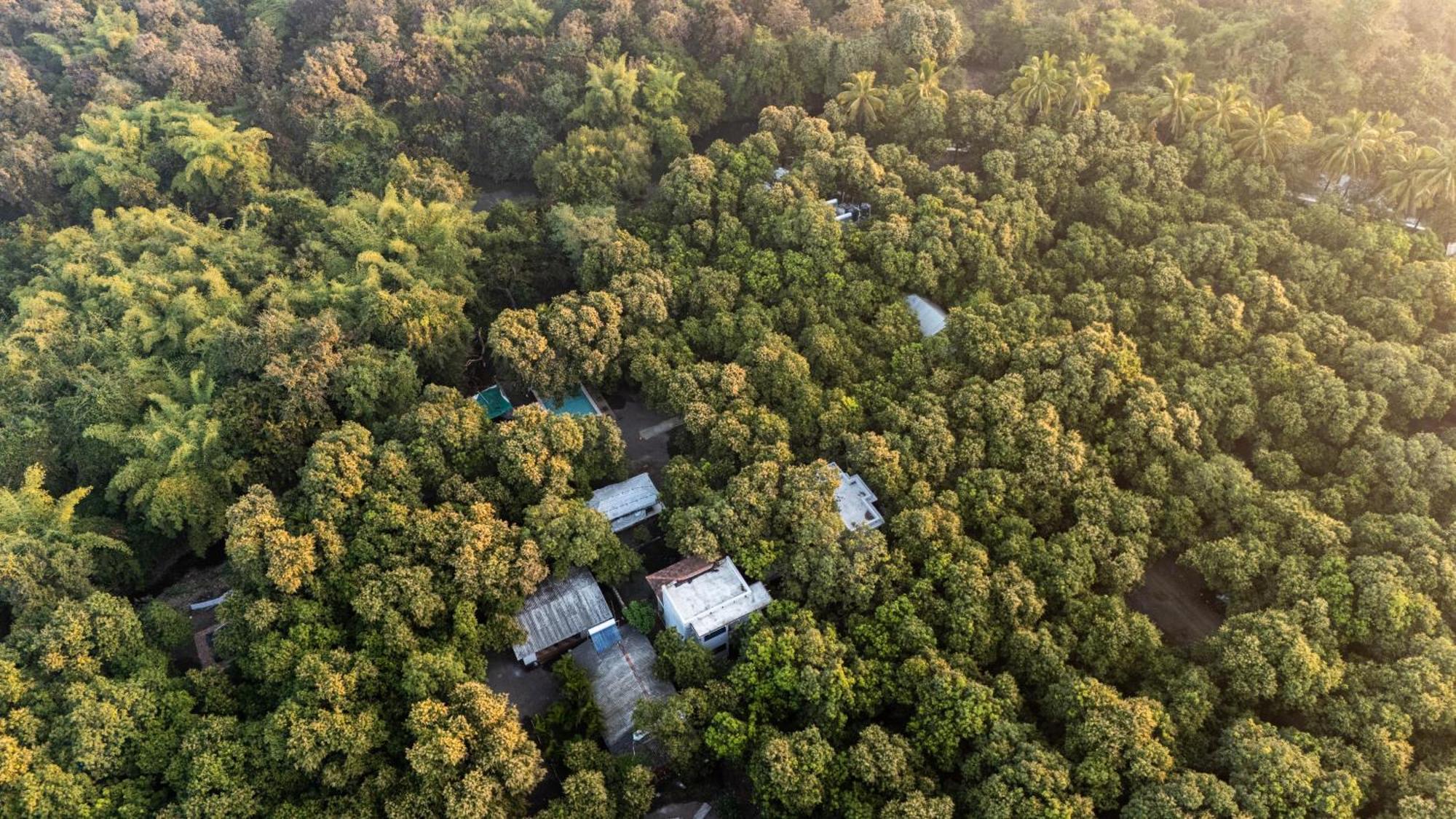 Gir County Resort Sasan Gir Eksteriør bilde