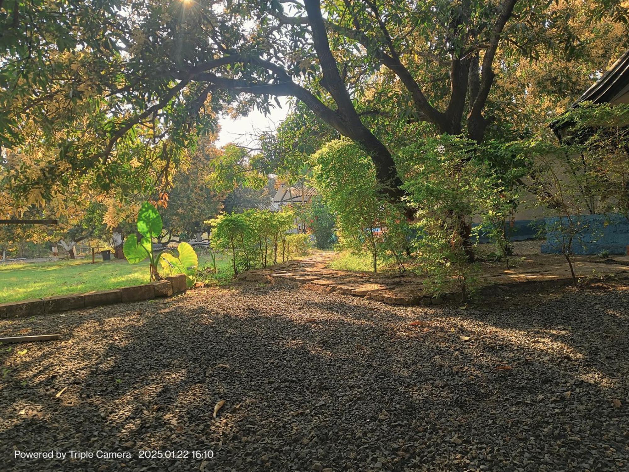 Gir County Resort Sasan Gir Eksteriør bilde
