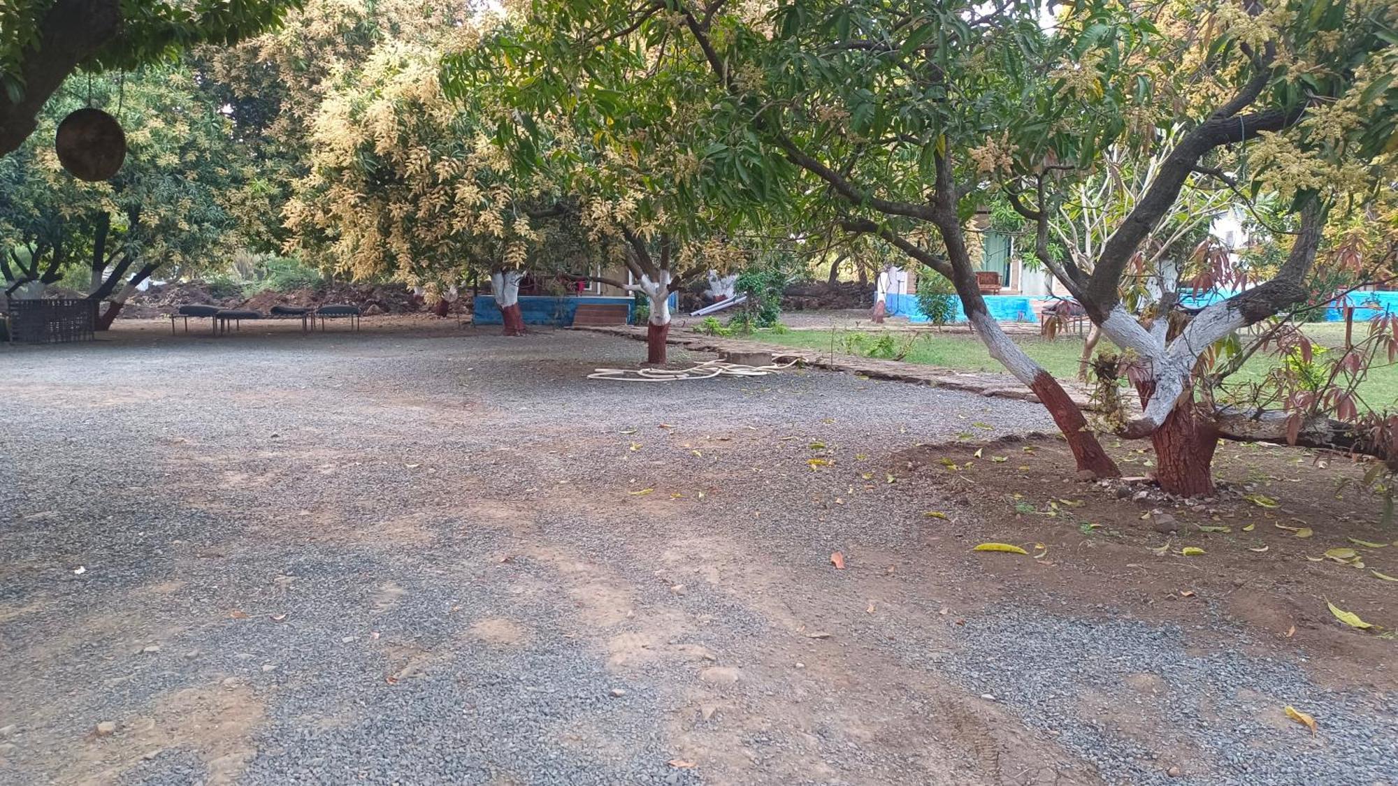 Gir County Resort Sasan Gir Eksteriør bilde